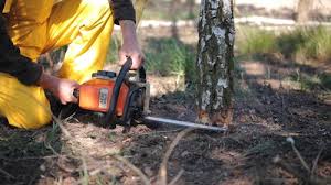 Mulching Services in Rosemont, IL